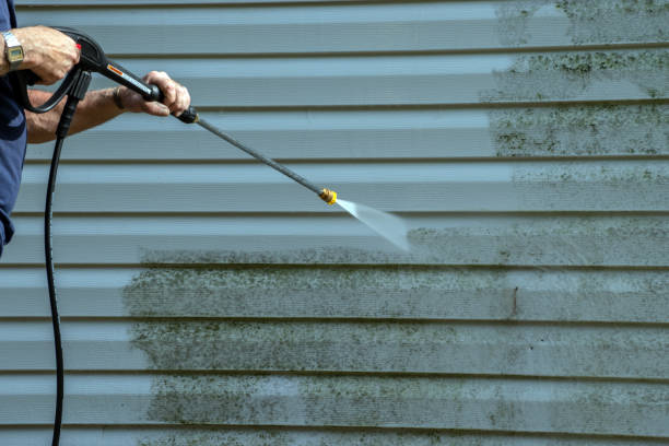 Reliable Palm Harbor, FL Pressure Washing Services Solutions